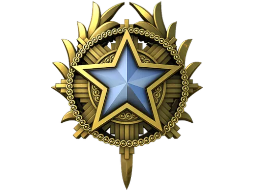 2020 Service Medal