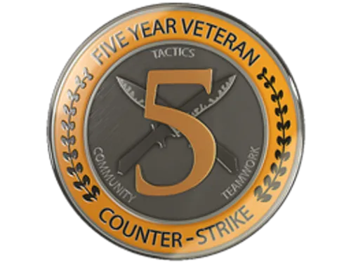 5 Year Veteran Coin