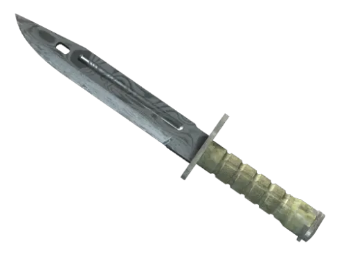 ★ Bayonet | Damascus Steel (Well-Worn)