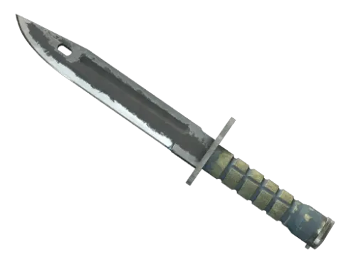 ★ Bayonet | Night (Battle-Scarred)