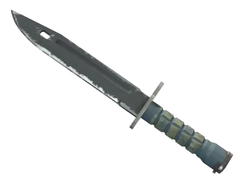 ★ Bayonet | Night (Well-Worn)