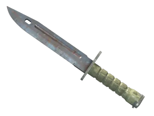 ★ Bayonet | Rust Coat (Well-Worn)