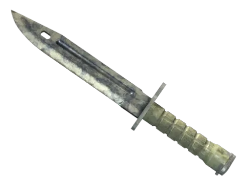 ★ Bayonet | Stained (Battle-Scarred)