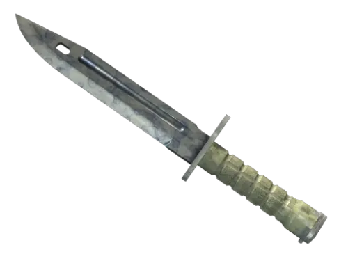 ★ Bayonet | Stained (Field-Tested)