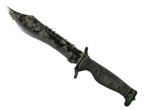 ★ Bowie Knife | Forest DDPAT (Battle-Scarred)