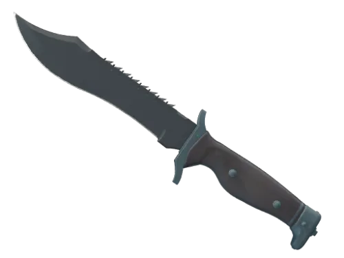 ★ Bowie Knife | Night (Minimal Wear)