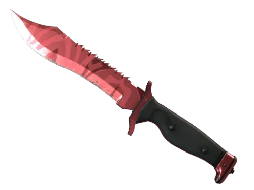 ★ Bowie Knife | Slaughter (Field-Tested)