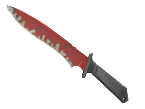 ★ Classic Knife | Crimson Web (Well-Worn)