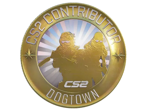Dogtown Map Coin