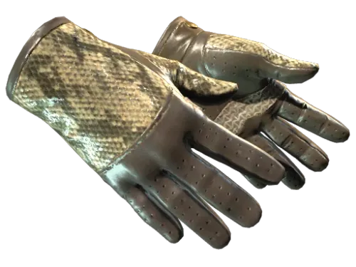 ★ Driver Gloves | Diamondback (Factory New)