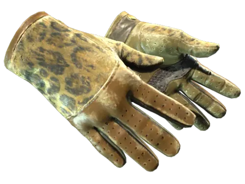 ★ Driver Gloves | Queen Jaguar (Battle-Scarred)