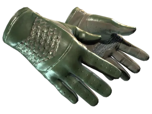 ★ Driver Gloves | Racing Green (Factory New)