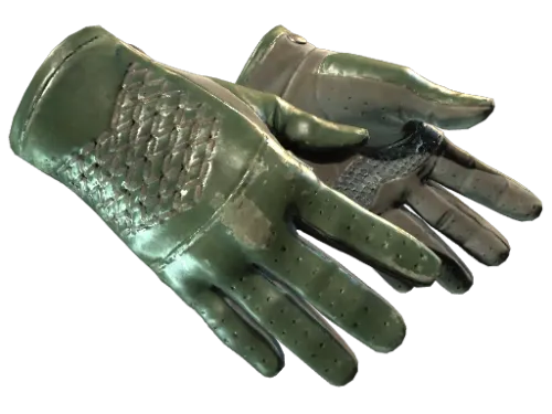 ★ Driver Gloves | Racing Green (Field-Tested)