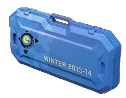 eSports 2013 Winter Case