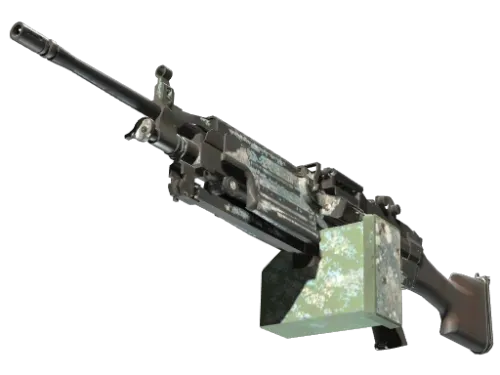 M249 | Blizzard Marbleized (Battle-Scarred)