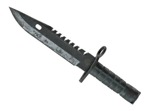 ★ M9 Bayonet | Night (Battle-Scarred)