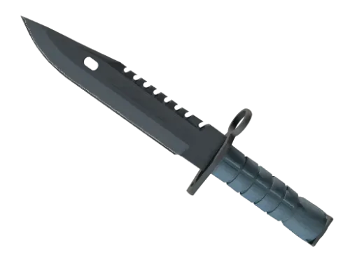 ★ M9 Bayonet | Night (Minimal Wear)