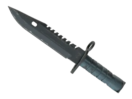 ★ M9 Bayonet | Night (Well-Worn)