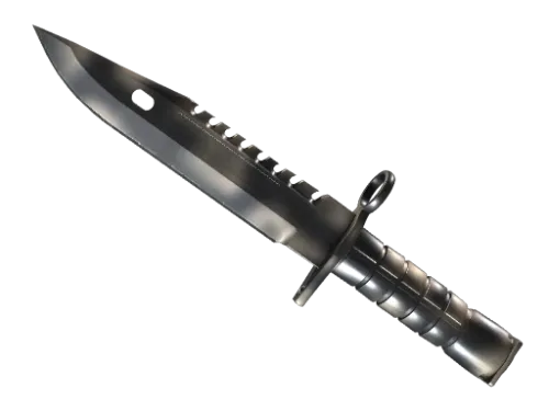 ★ M9 Bayonet | Scorched (Minimal Wear)