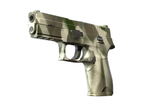 P250 | Bone Mask (Factory New)