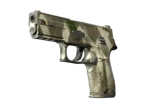 P250 | Bone Mask (Well-Worn)