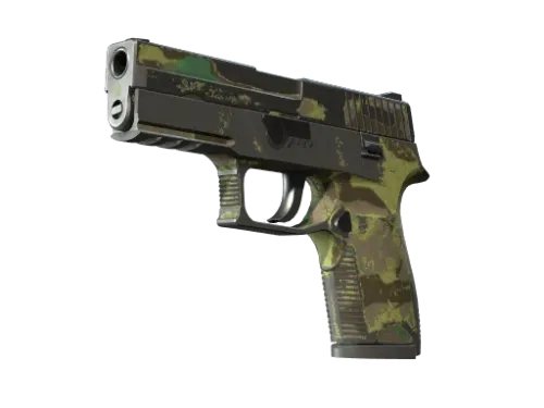 P250 | Boreal Forest (Battle-Scarred)