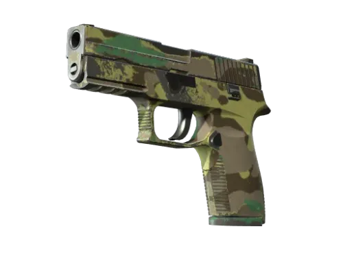 P250 | Boreal Forest (Well-Worn)