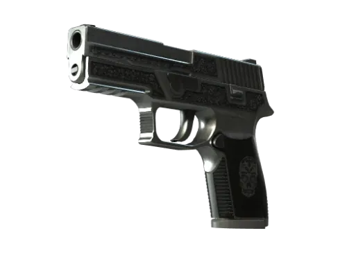 P250 | Cartel (Well-Worn)