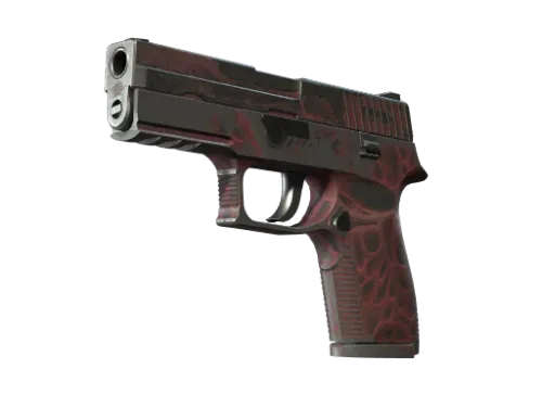 P250 | Contaminant (Battle-Scarred)