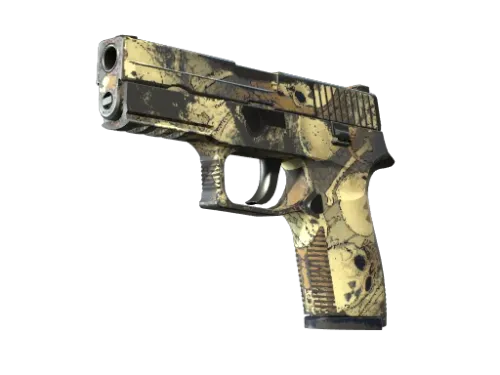 P250 | Contamination (Well-Worn)