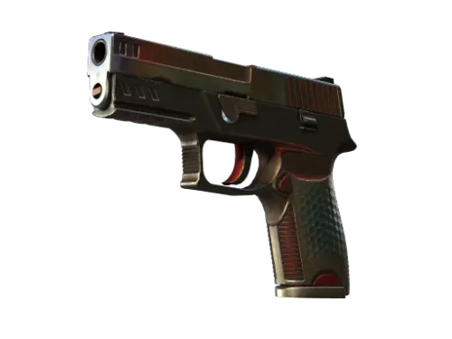 P250 | Cyber Shell (Battle-Scarred)