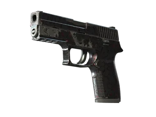 P250 | Dark Filigree (Well-Worn)