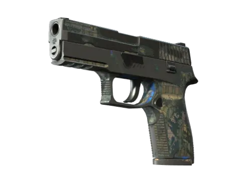 P250 | Exchanger (Battle-Scarred)