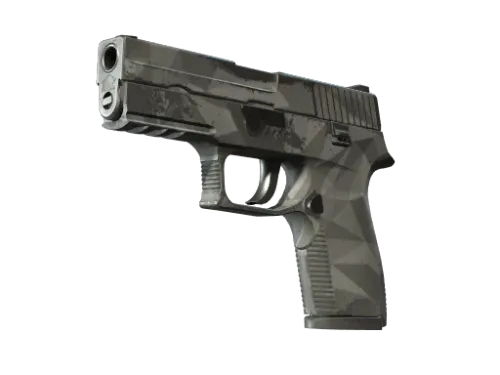 P250 | Facets (Field-Tested)