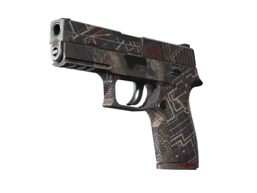 P250 | Facility Draft (Field-Tested)