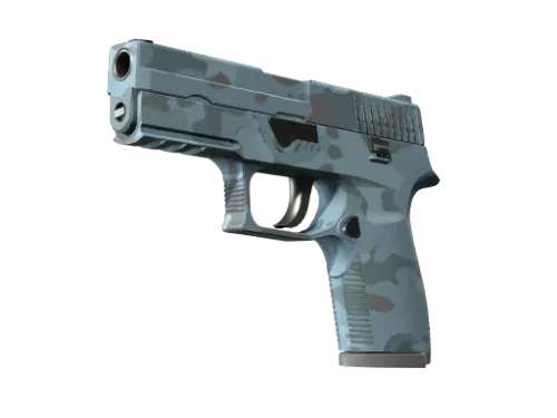 P250 | Forest Night (Minimal Wear)