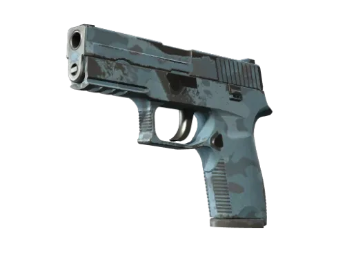 P250 | Forest Night (Well-Worn)