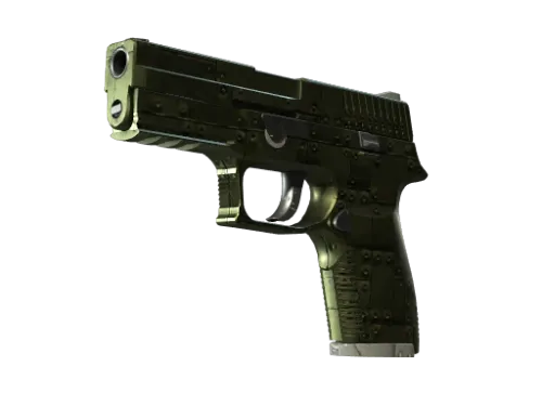 P250 | Iron Clad (Field-Tested)