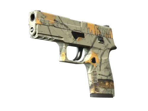 P250 | Modern Hunter (Factory New)