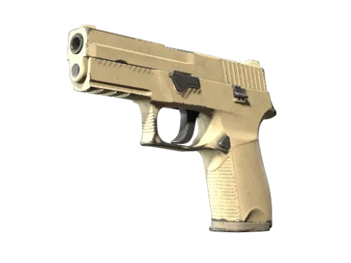 P250 | Sand Dune (Well-Worn)