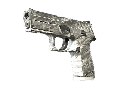 P250 | Sleet (Field-Tested)