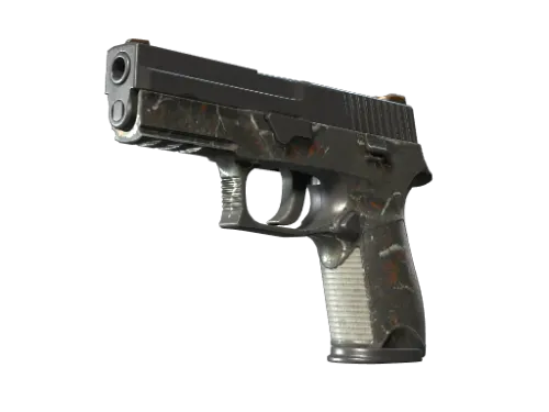 P250 | Small Game (Battle-Scarred)