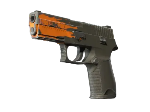 P250 | Splash (Field-Tested)