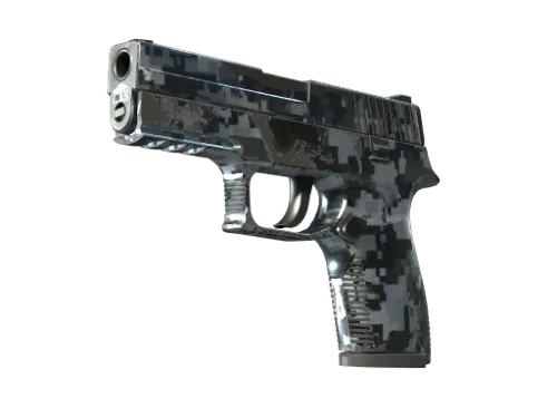 P250 | Steel Disruption (Field-Tested)