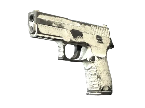 P250 | Whiteout (Battle-Scarred)