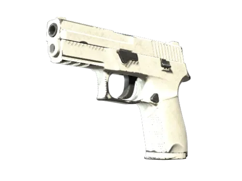 P250 | Whiteout (Field-Tested)