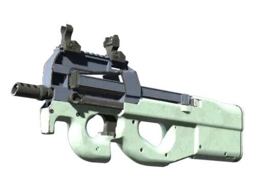 P90 | Storm (Well-Worn)