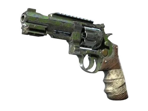 R8 Revolver | Survivalist (Battle-Scarred)