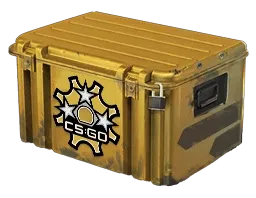 Revolver Case