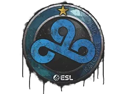 Sealed Graffiti | Cloud9 | Katowice 2019